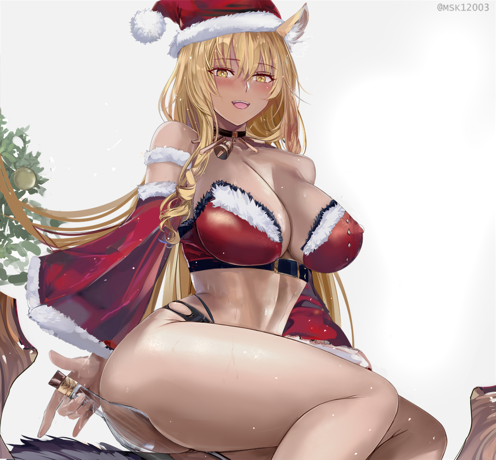 suzuka-gozen-fatesuzuka-gozen-santa-fate