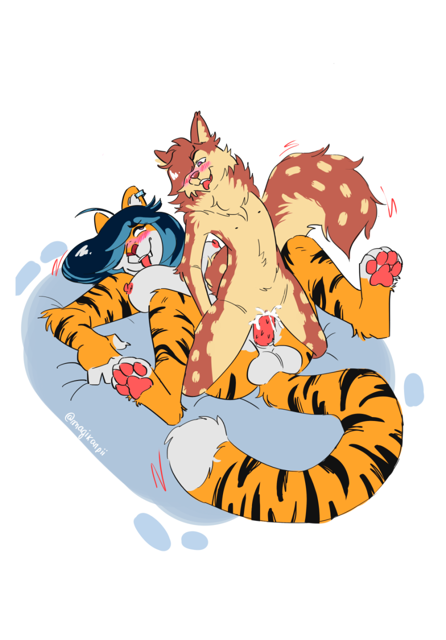 kuki-dicreammaxiinne-sylver