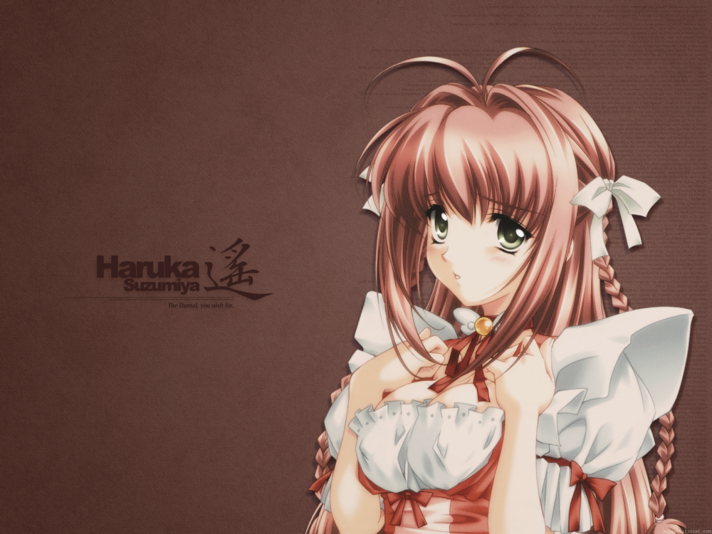 suzumiya-haruka