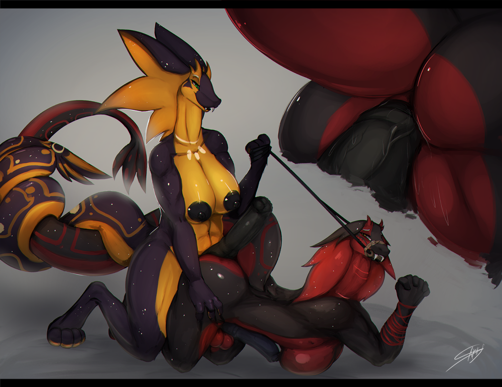 nashira-sarkinishala-xeila