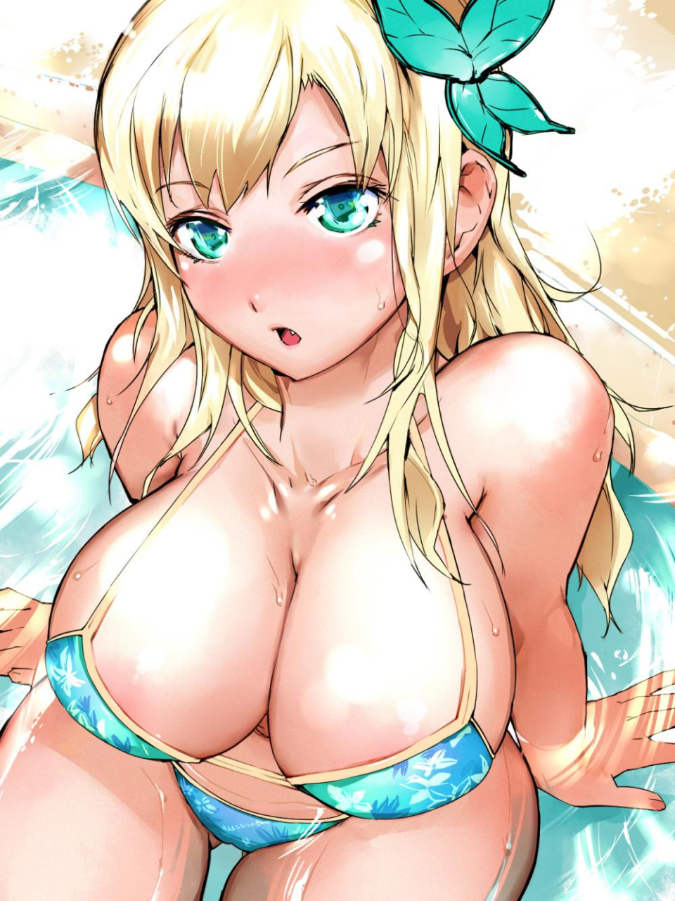 kashiwazaki-sena