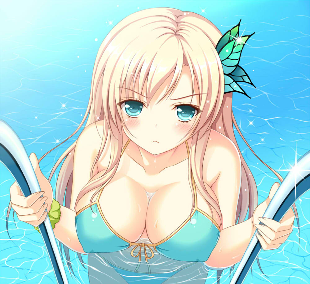 kashiwazaki-sena