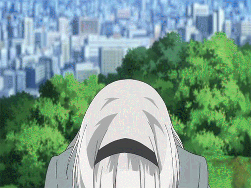 anna-nishikinomiyafuwa-hyoukakajou-ayameokuma-tanukichi