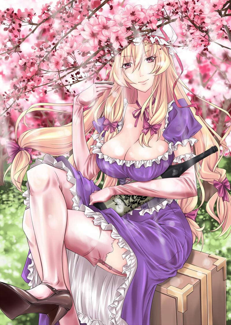 yakumo-yukari