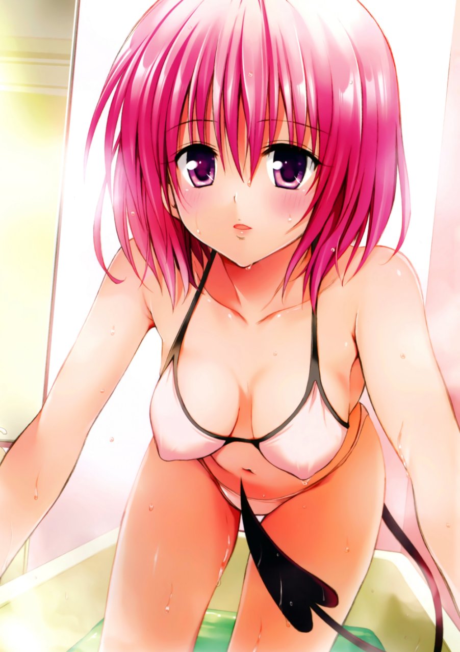 momo-velia-deviluke