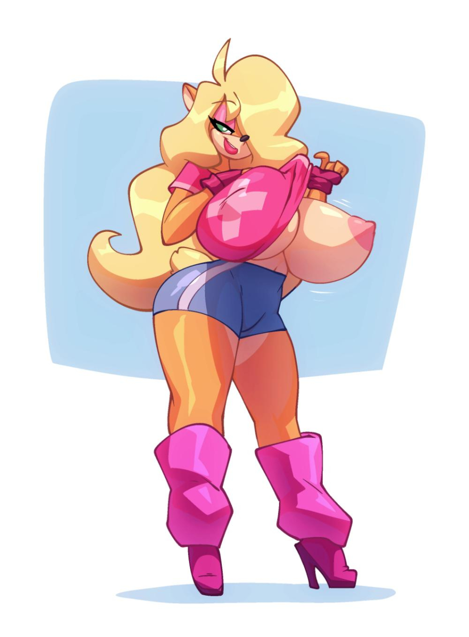 tawna-bandicoot