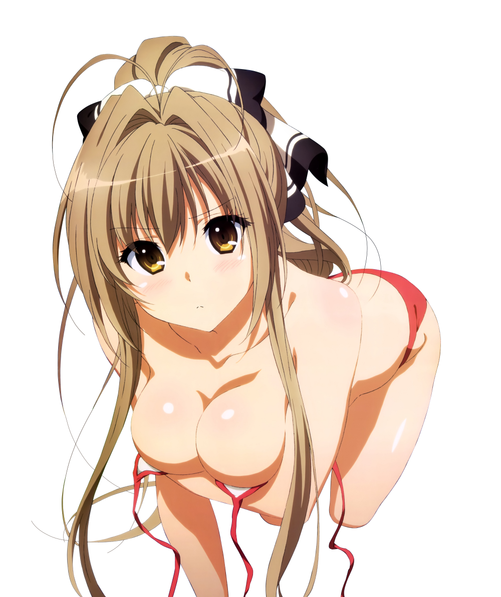 sento-isuzu