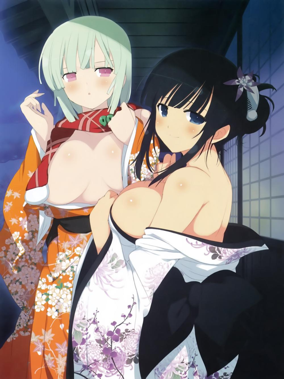 ikaruga-senran-kaguranaraku-senran-kagura