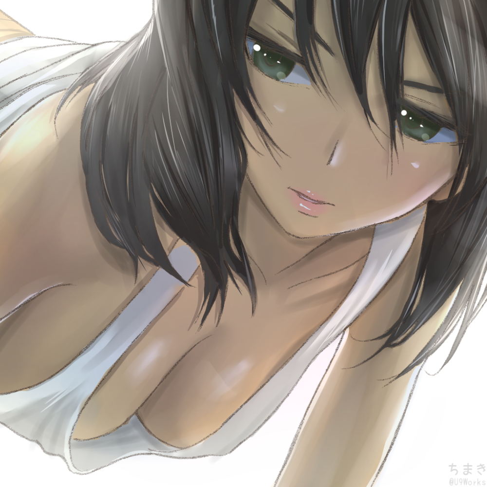 hoshino-girls-und-panzer