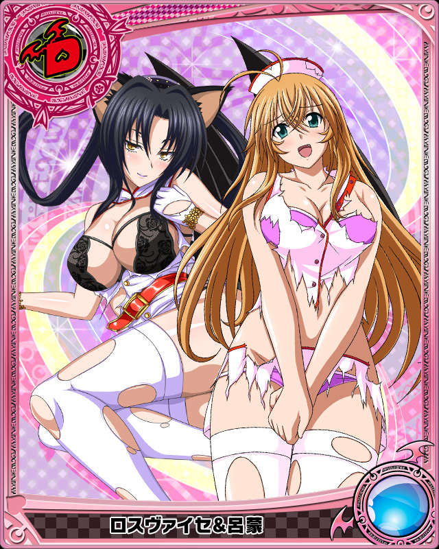 sonsaku-hakufukuroka-high-school-dxd