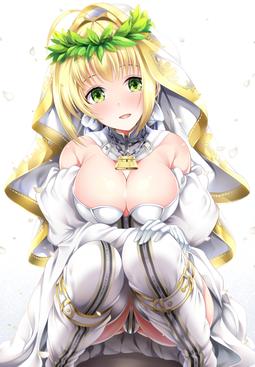 nero-claudius-fate-allnero-claudius-fatenero-claudius-bride-fate