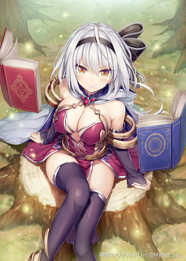 minister-sucia-shinkai-no-valkyrie