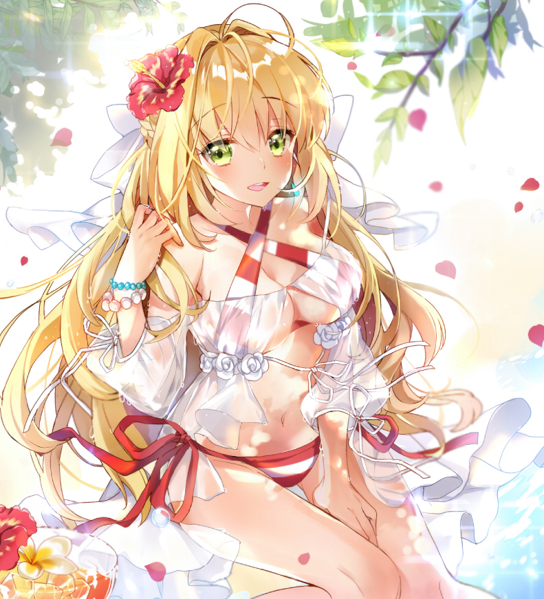 nero-claudius-fate-allnero-claudius-swimsuit-caster-fate