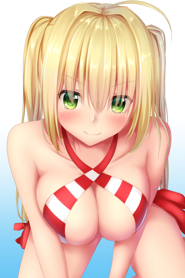 nero-claudius-fate-allnero-claudius-swimsuit-caster-fate