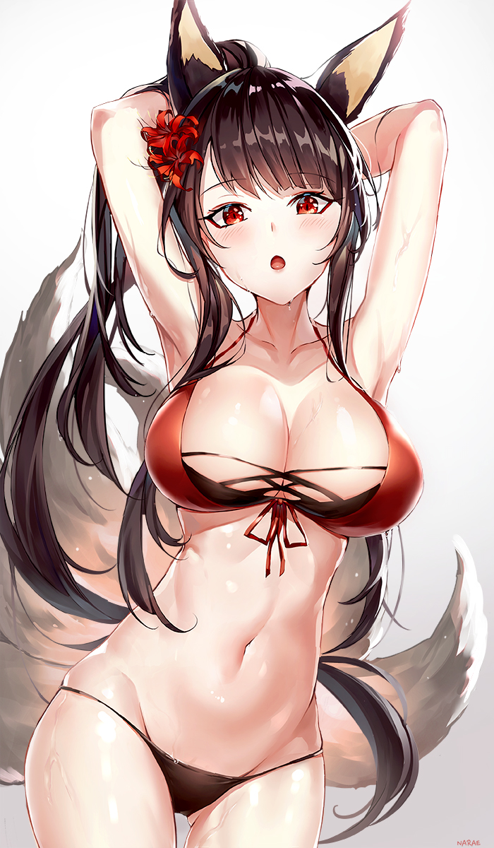 akagi-azur-laneakagi-paradise-amaryllis-azur-lane