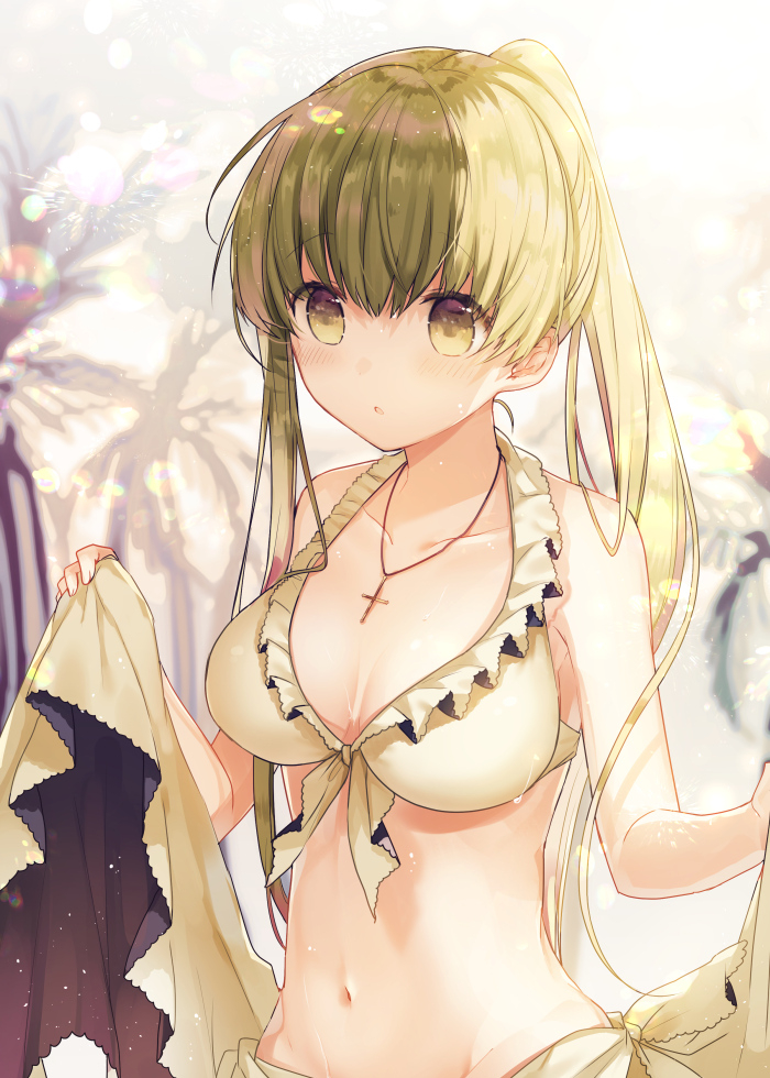 cecilia-shiro-seijo-to-kuro-bokushi