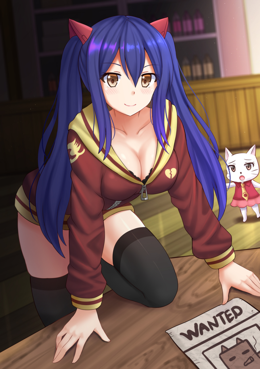 wendy-marvellcharle-fairy-tail