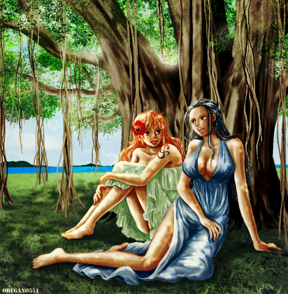 nami-one-piecenico-robin