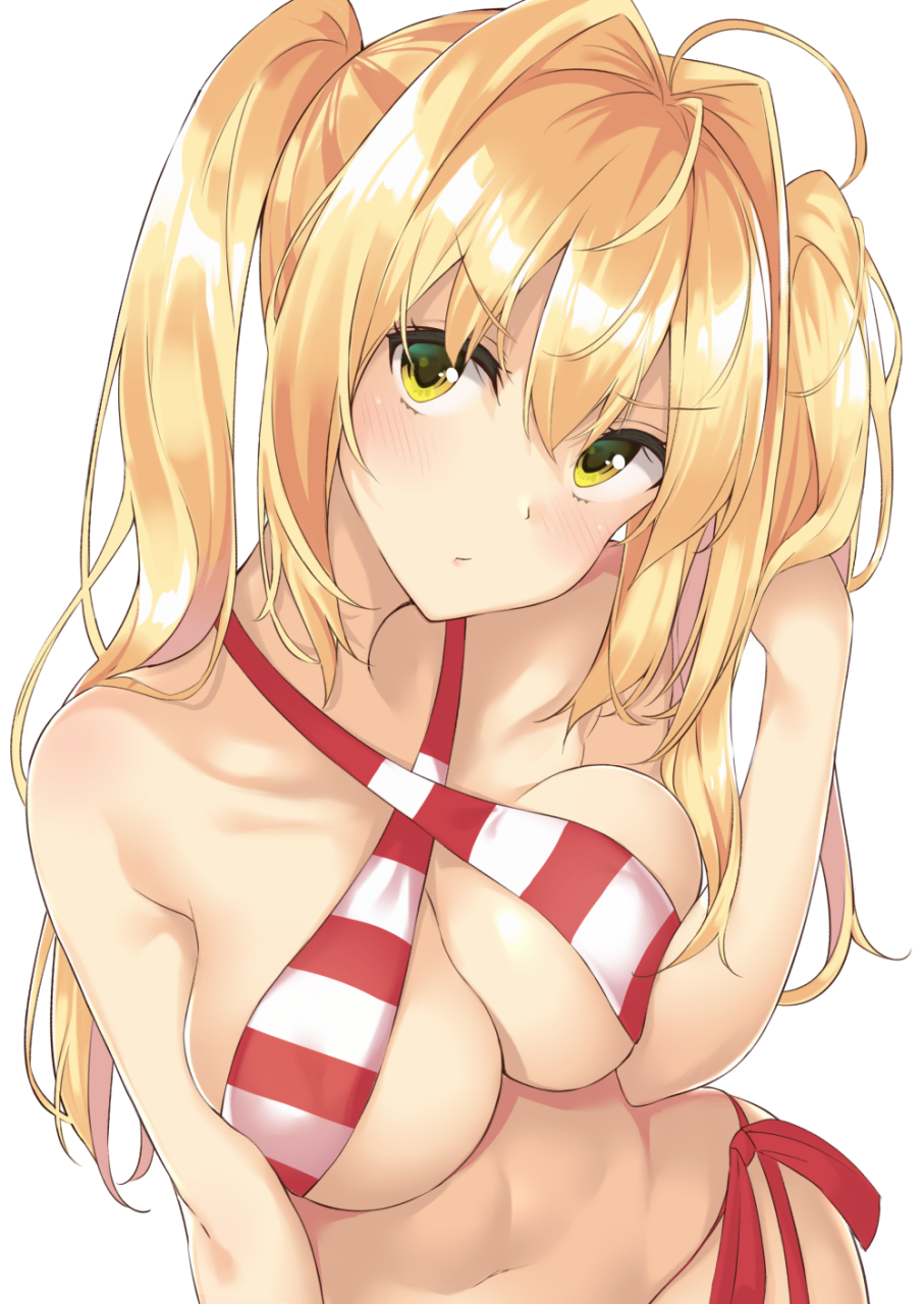 nero-claudius-fate-allnero-claudius-swimsuit-caster-fate