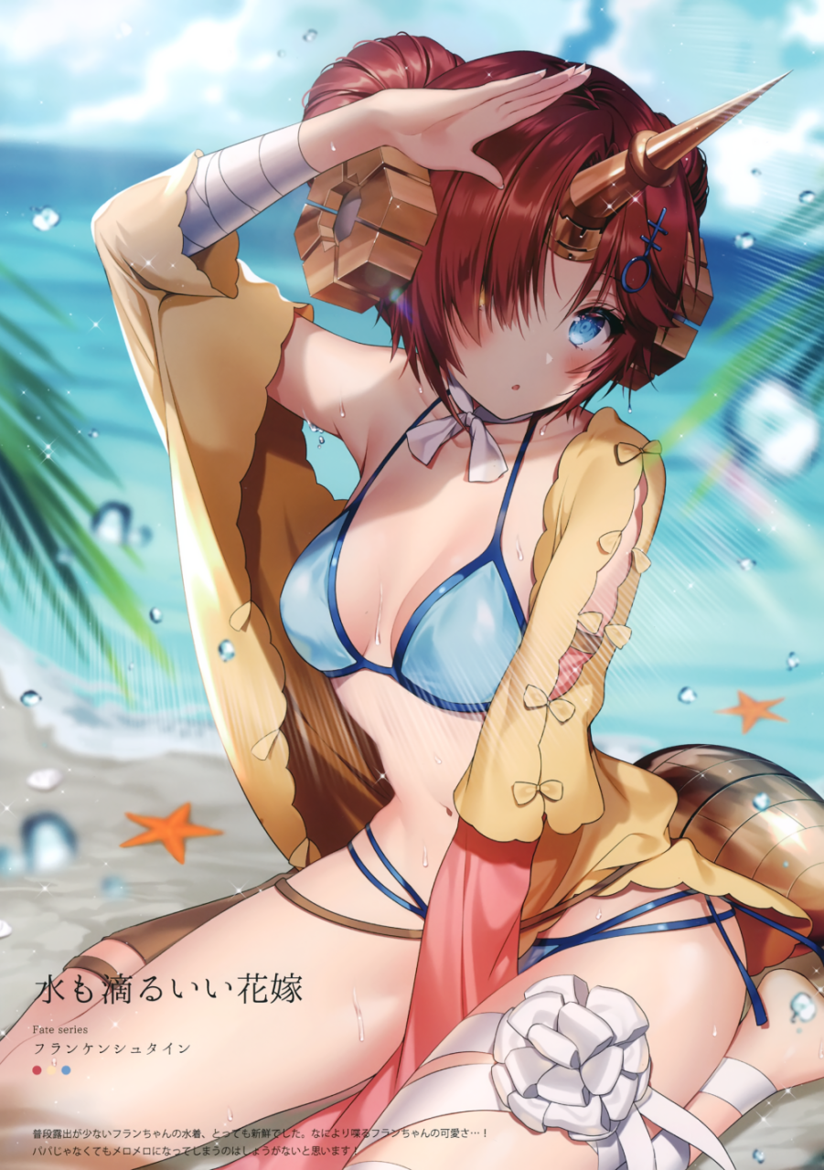frankensteins-monster-fatefrankensteins-monster-swimsuit-saber-fate