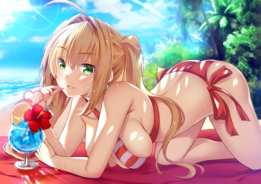 nero-claudius-fate-allnero-claudius-swimsuit-caster-fate