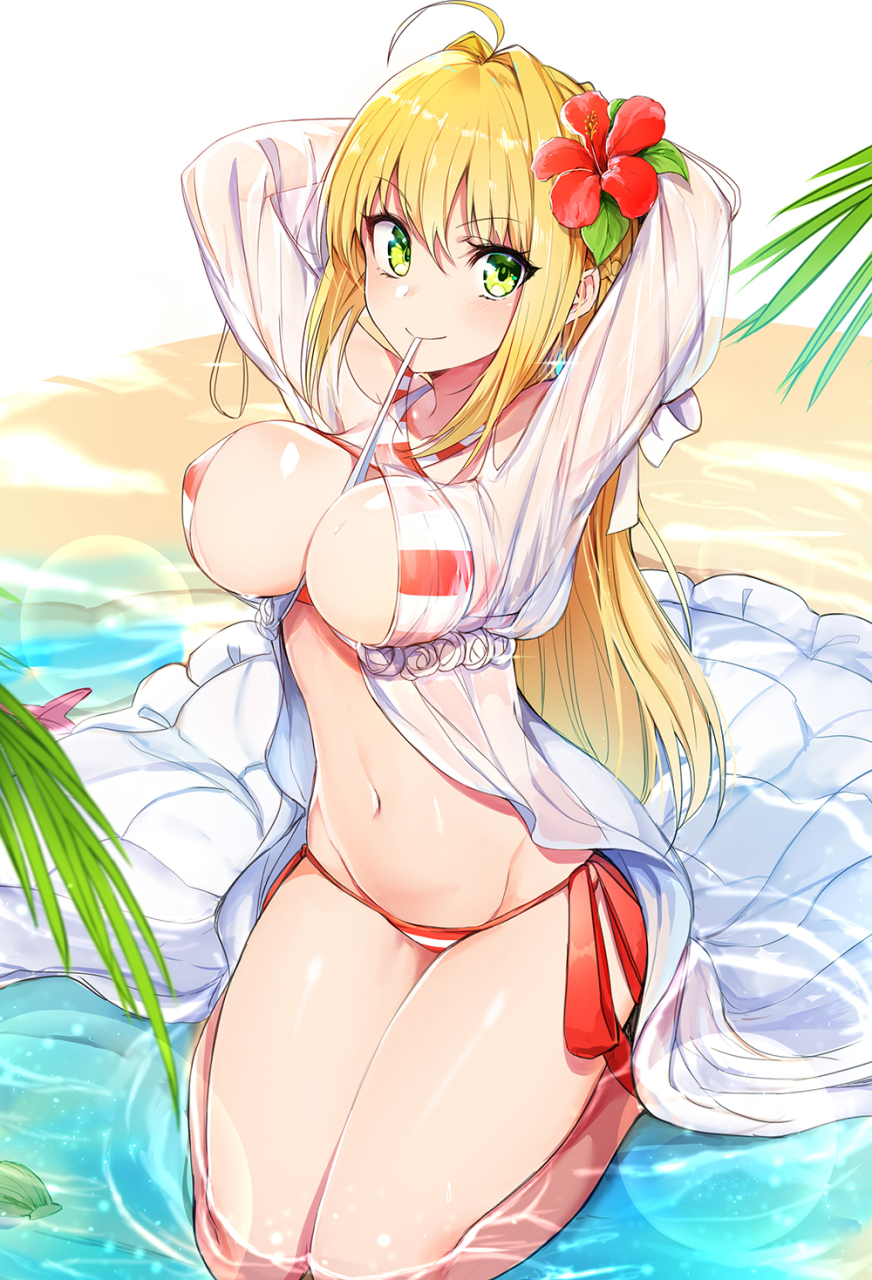 nero-claudius-fate-allnero-claudius-swimsuit-caster-fate