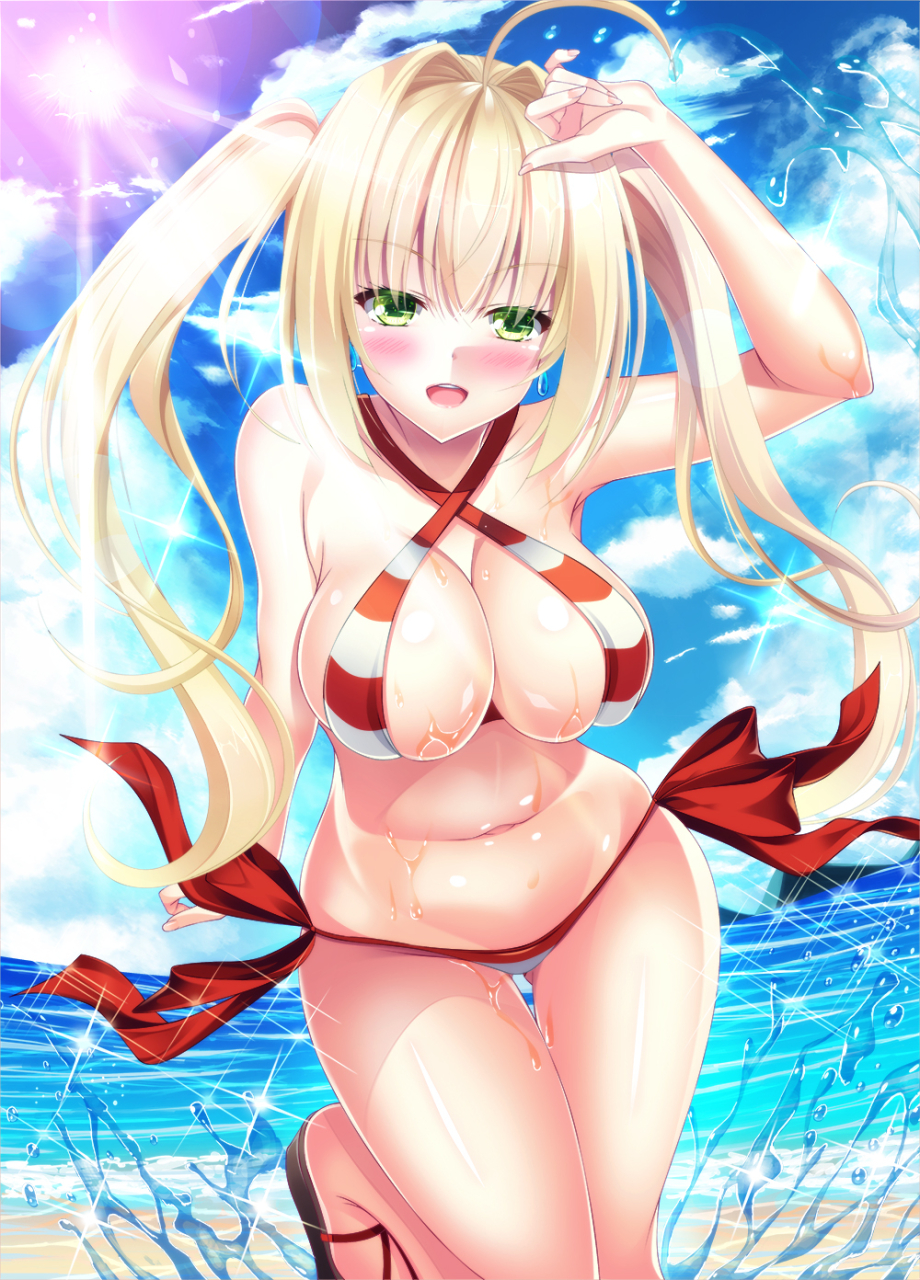 nero-claudius-fate-allnero-claudius-swimsuit-caster-fate