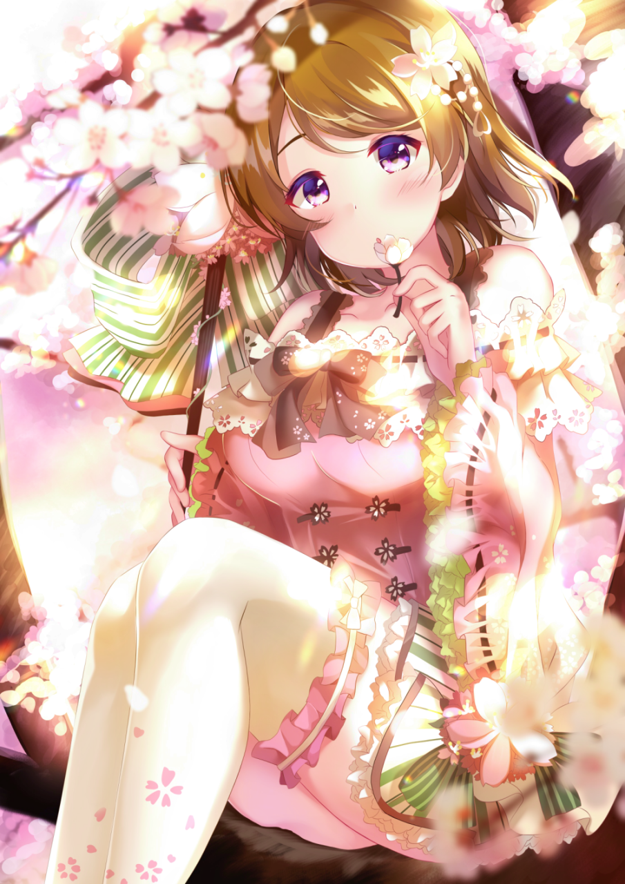 koizumi-hanayo