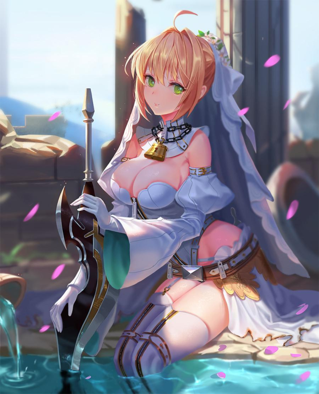 dongfangzhong111nero claudius (fate) (all)+nero claudius (bride) (fate)150fe9c41fa8c5b49f508bd1