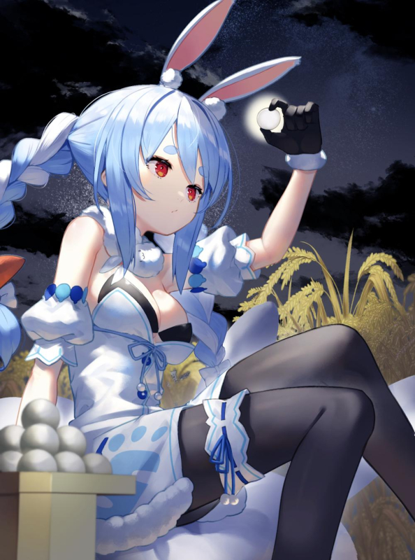 sukocchiusada pekora+don-chan (usada pekora)5a284062875a050a550274e84f3bb0ad