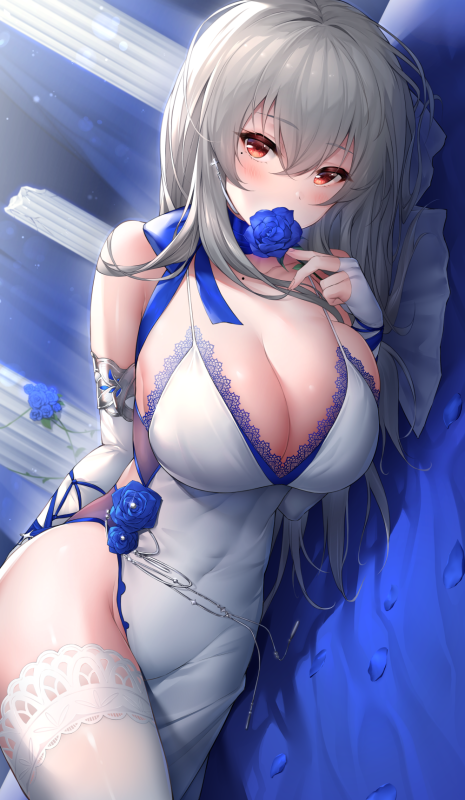 oyuwarisaint-louis (azur lane)+saint-louis (brilliant paladin) (azur lane)c68e70310c61f1c79b5b3ee9d219