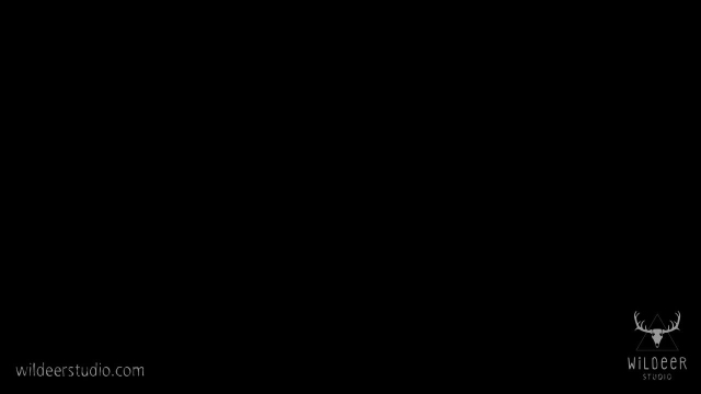 pixiewillow+voicelikecandy+wildeerstudiolara croft0452b66fc1fefa5c200c2134b8918c05