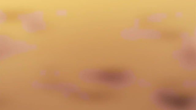 anonymouslona+stunk23d2c4b84a8f39c1259e2a5e19edc536