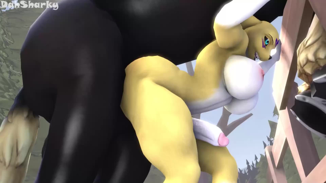 dahsharkyunknown2502f8e8122d1faf4681b27c89f3b17f