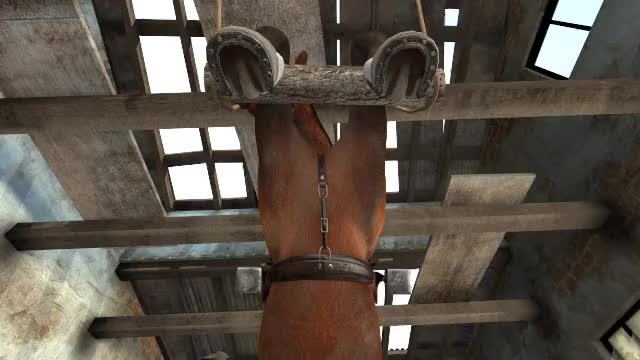 animopronunknown362b23dfa47aad7c9cd9cfe06628be4a