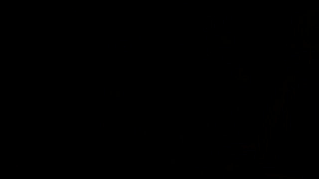 dezmallbowsette4919b15be2e9fcbf824aaa031d3f4ebd