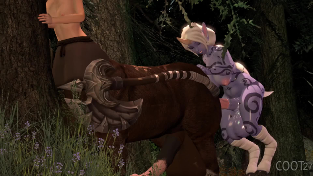 coot27soraka6b9c935d9d83bce0e87aa564563cba69