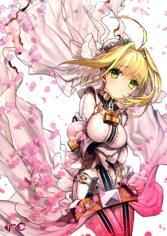 wada arukonero claudius (fate) (all)+nero claudius (bride) (fate)+nero claudius (fate)515de7ffab1386