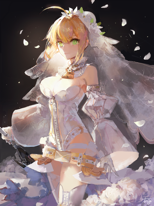 hg (pixiv16108795)nero claudius (fate) (all)+nero claudius (fate)+nero claudius (bride) (fa