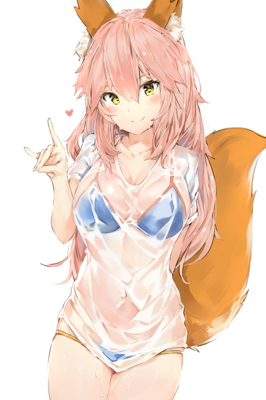 silver (chenwen)tamamo (fate) (all)+tamamo no mae (swimsuit lancer) (fate)ab62f355a78151832f