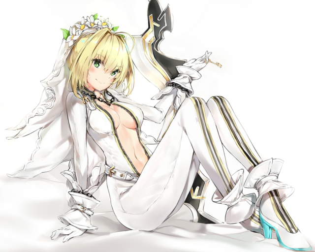 silver (chenwen)nero claudius (fate) (all)+nero claudius (fate)+nero claudius (bride) (fat
