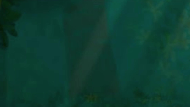 tritriumunknown9e241a8fc69949e867b04ccdd037553c