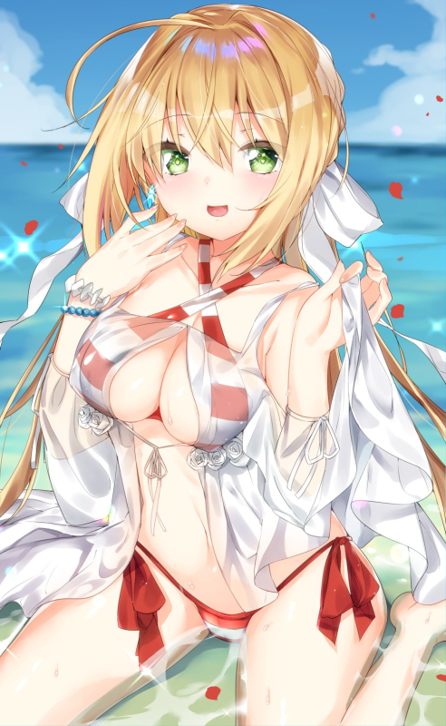 kamioka shun'yanero claudius (fate) (all)+nero claudius (swimsuit caster) (fate)dbb89f
