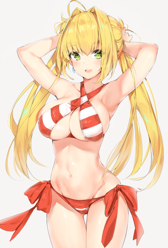 silver (chenwen)nero claudius (fate) (all)+nero claudius (swimsuit caster) (fate)3811b