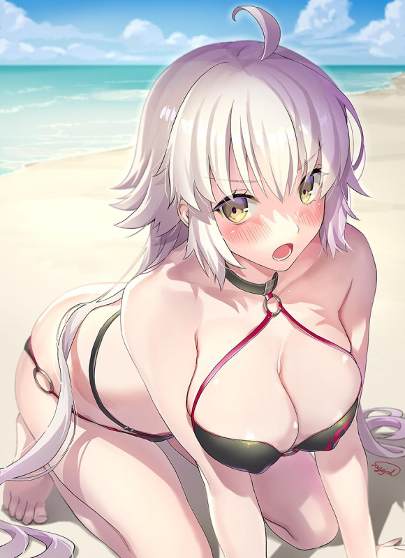 sage johjeanne d'arc (fate) (all)+jeanne d'arc (alter swimsuit berserker)4c52cdc849843b276d8fc
