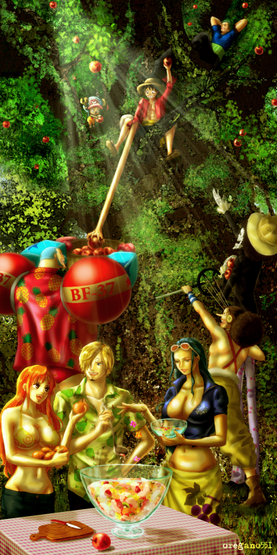 oregano551nami (one piece)+monkey d luffy+nico robin+roronoa zoro+sanji+tony tony chopper+usopp+franky+brook87b85d5d05c62e28