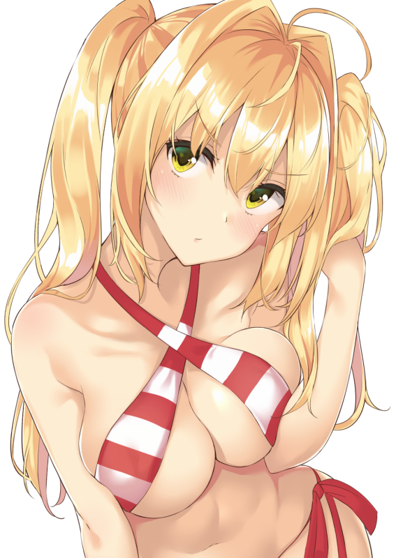 tetora (yumejihuka)nero claudius (fate) (all)+nero claudius (swimsuit caster) (fat