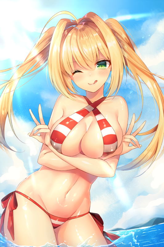 ntk (7t5)nero claudius (fate) (all)+nero claudius (swimsuit caster) (fate)077e56bf9fa0d7d33d