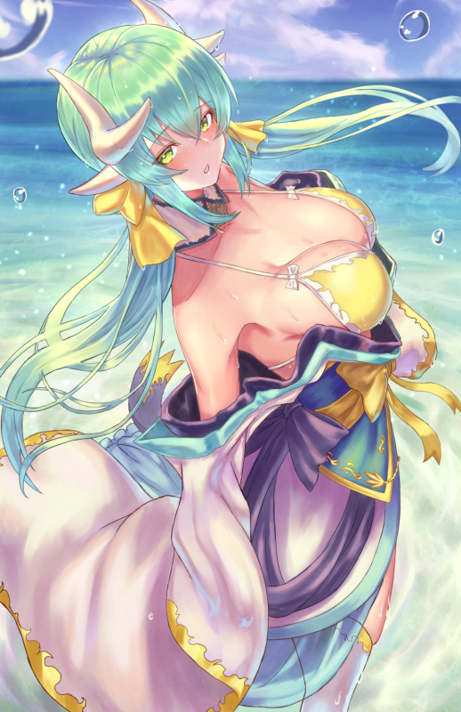 hayataku1234kiyohime (fate grand order)+kiyohime (swimsuit lancer) (fate)c43e04da8fe9ca77aff8e
