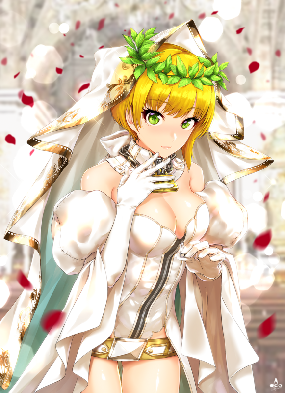 infinotenero claudius (fate) (all)+nero claudius (bride) (fate)+miyamoto frederi